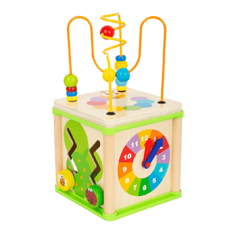 Small Foot Motorische Kubus Insecten