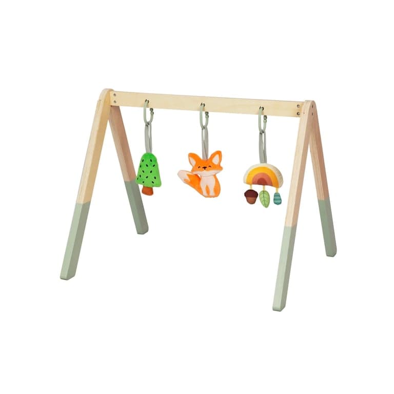 Busy Kids Babygym