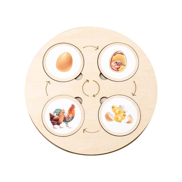 Seaside-Montessori Levenscirkel Spel