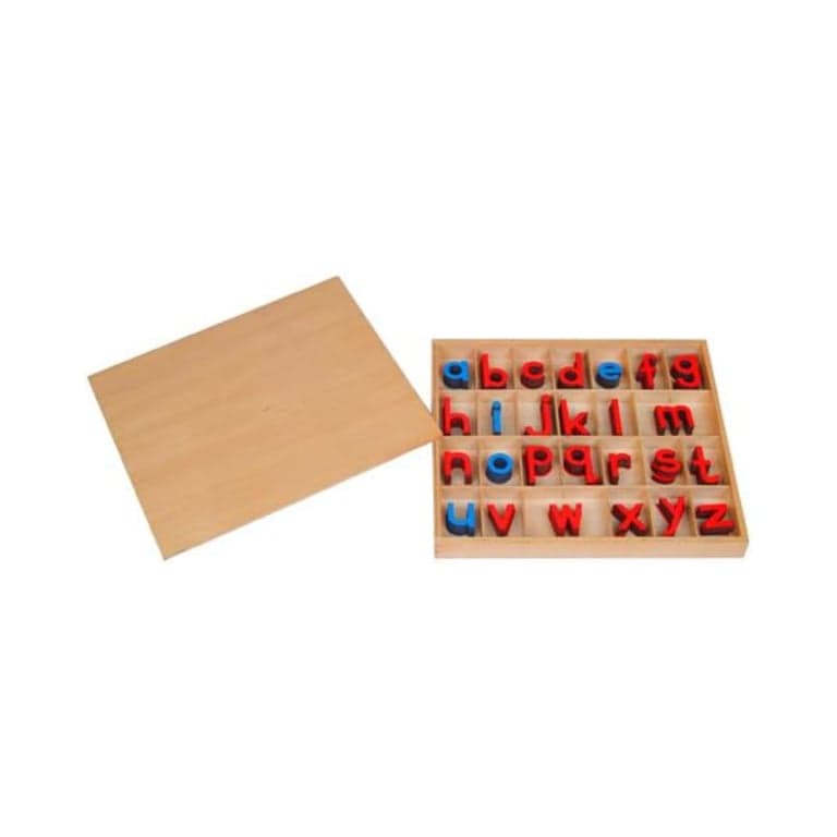 Kid Advance Montessori Kleine Beweegbare Alfabetten met Doos