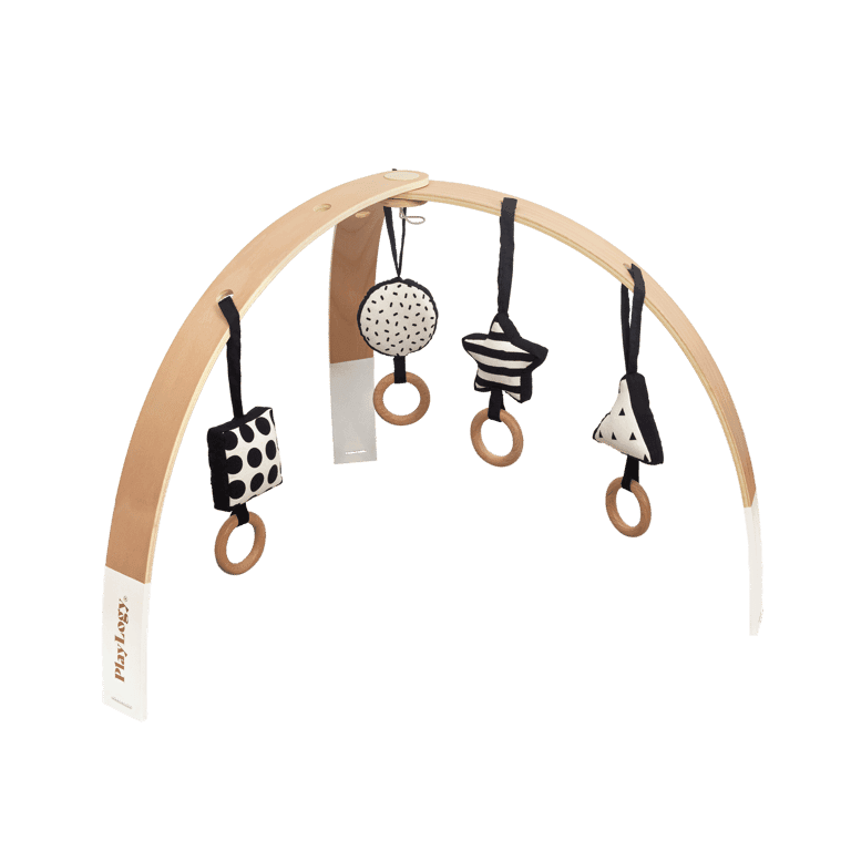 PlayLogy PlayGym met Hangers Zonder Speeltapijt