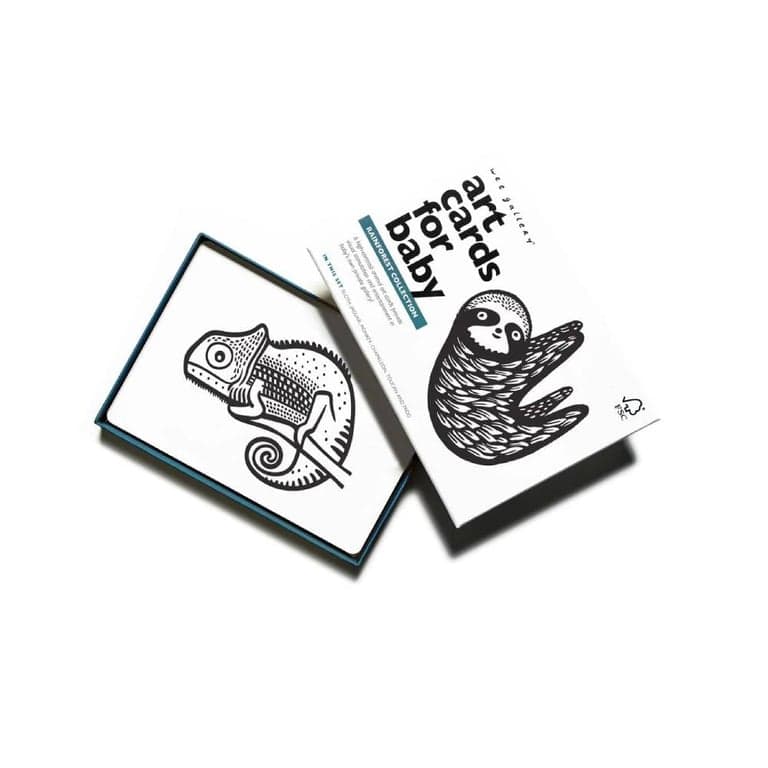Wee Gallery Contrast Flashcards Regenwoud Dieren Collecties