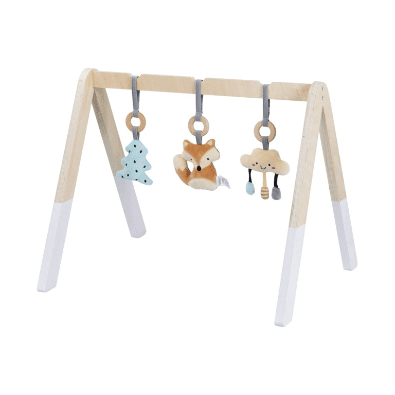 Elis Design Baby Gym