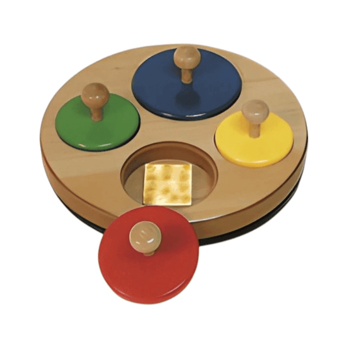 TAG Toys Montessori Circles Memory Puzzle