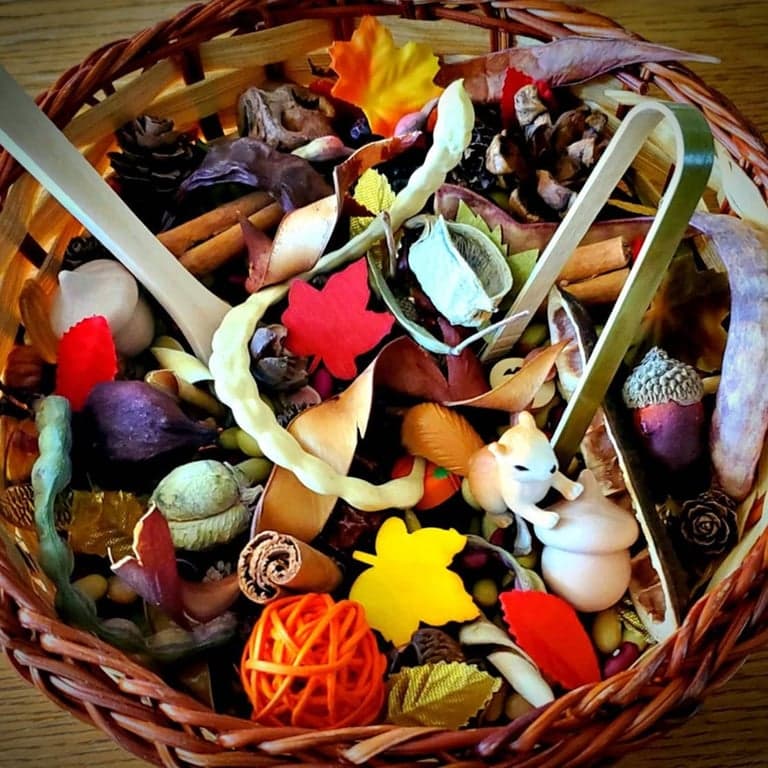 Aspiring Tots Ontdekmandje Herfst Eekhoorn