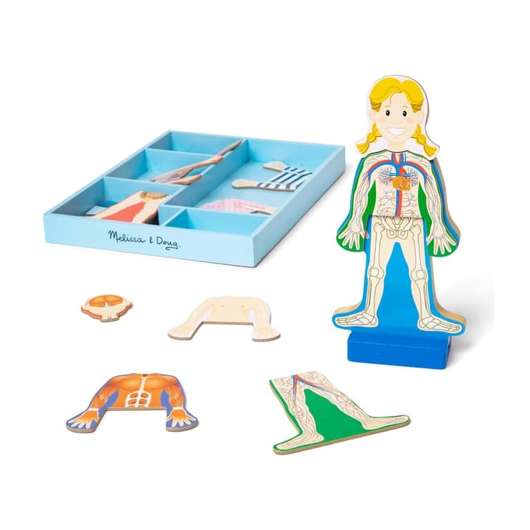 Melissa & Doug Magnetische Menselijk Lichaam Anatomie Speelset