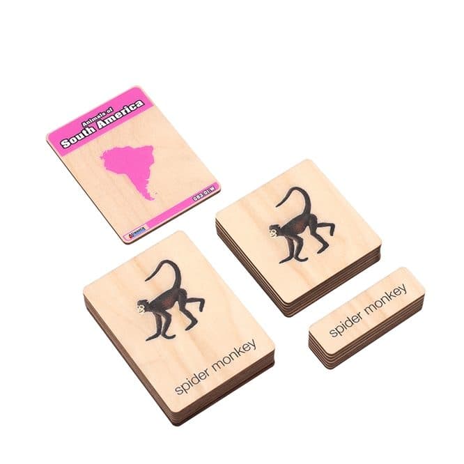 Alison's Montessori Houten Nomenclatuurkaarten Dieren van Zuid-Amerika