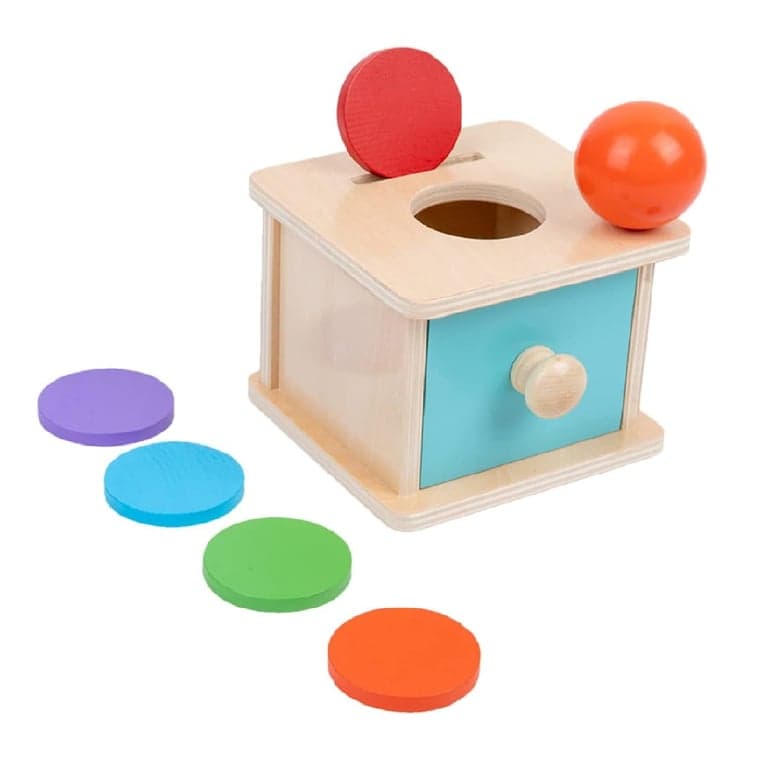 Adena Montessori Munten en Ballen Inwerpkist met Blauwe Deur
