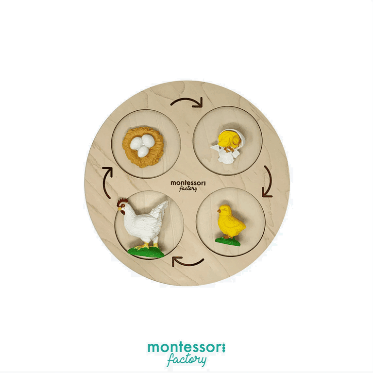 Montessori Factory 4-Fasen Dienblad Levenscyclus van een Kip