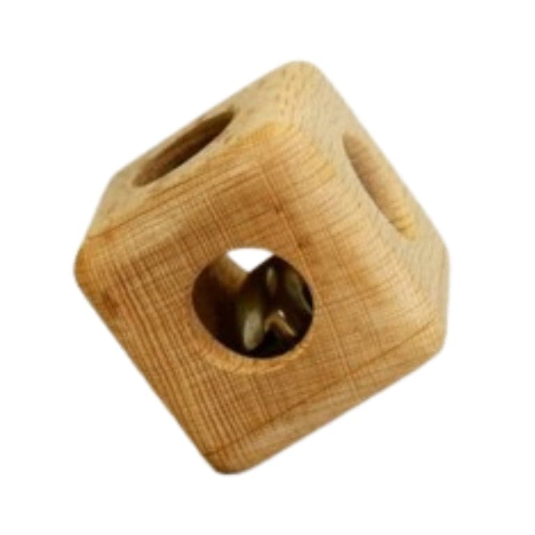 Wooden Caterpillar Rammelaar Speelgoed Kubus